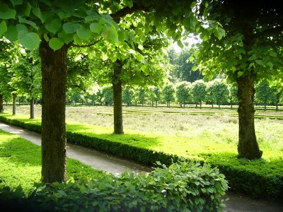 Park bij Pres. Steijnbank