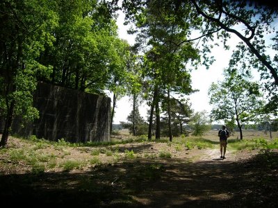 De Hoge Veluwe