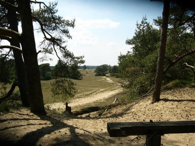 De Hoge Veluwe