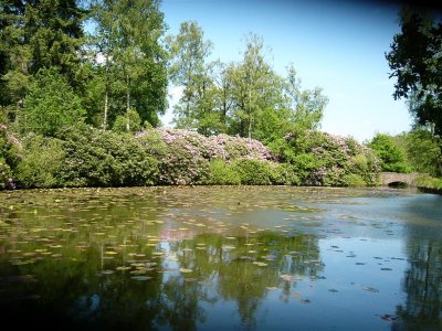 vijver bij jachtslot Sint Hubertus