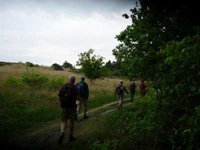 stuwwal van de oostelijke Veluwe