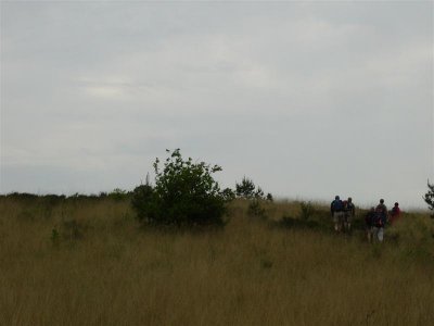 stuwwal van de oostelijke Veluwe