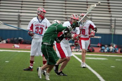 IMG_5186.jpg