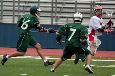 IMG_5302.jpg