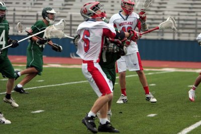 IMG_5306.jpg