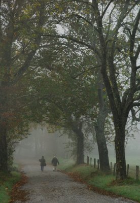 JPG CS Fog Walkers DSC_9304.jpg