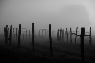 JPG CS BW Many Fences DSC_9326.jpg