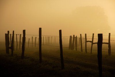 JPG CS Many Fences DSC_9326.jpg