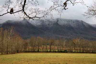 JPG CS 1Snow Tops DSC_0254.jpg