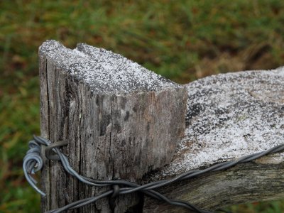 JPG CS Snow Covered Fence DSC_0337.jpg