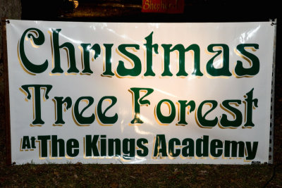 JPG CS Tree Forest Sign-2365.jpg