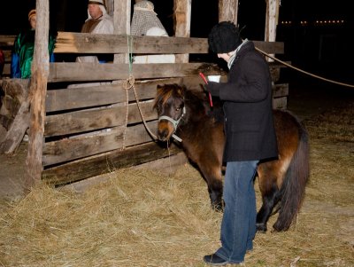 JPG CS Petting Pony-2421.jpg