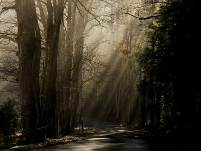JPG CS Sunrays DSC_0554.jpg