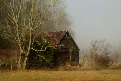 JPG CS 1Foggy Morning Barn DSC_0544.jpg