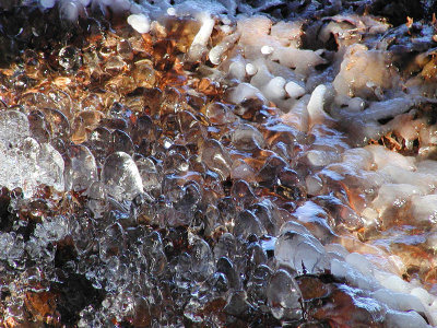 JPG CS 2Frozen Jewels PC223379.jpg
