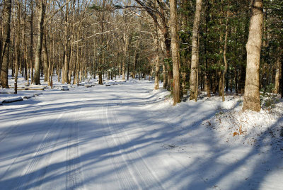 JPG CS Open Road DSC_0658.jpg