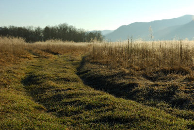 JPG CS Tracks DSC_0806.jpg