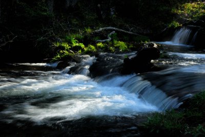 JPG CS 2 Forge Creek Falls DSC_1243.jpg