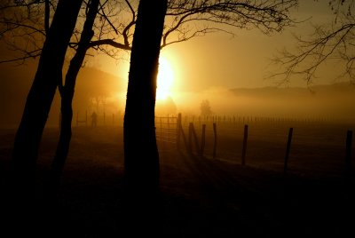 JPG CaS 2 Sunrise Silhouette DSC_1216.jpg