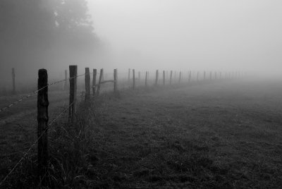 Disappearances