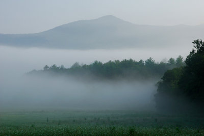 Foggy Mountain Morning