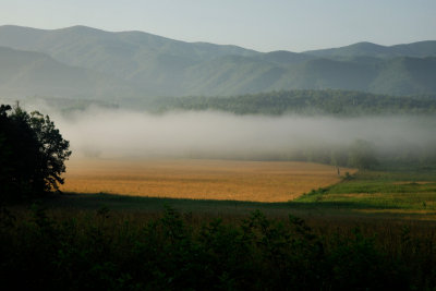 Fog In The Valley