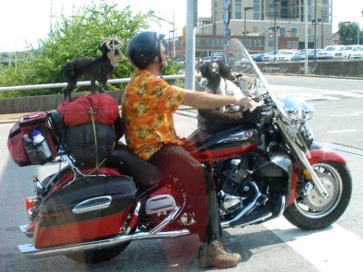 Cycle Dogs, Ridin' In Style