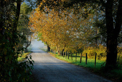 Sparks Lane In The Morning
