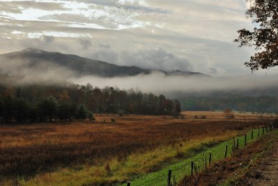 Clouds & Mist 