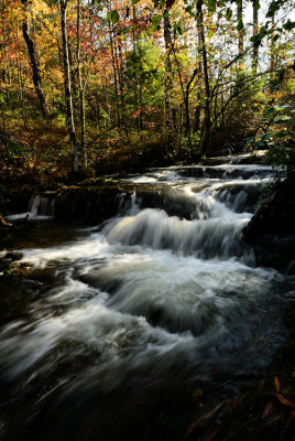  Forge Creek Rapids 