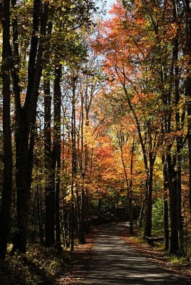 JPG CS 2 Autumn Road DSC_4187.jpg