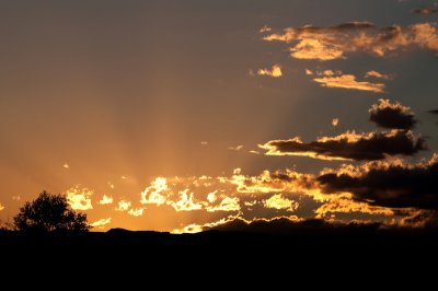 My Last Sunset In The Bosque, November 11th, 2010