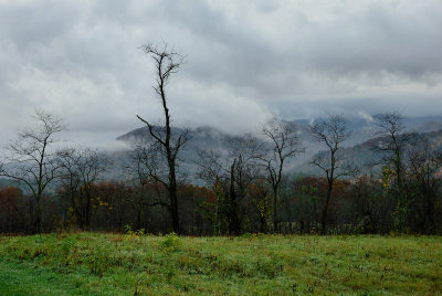 Low Clouds