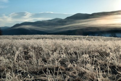 Frost 'n Wispy Fog