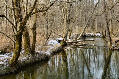 Cold Water