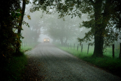 Fog Lights