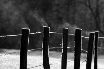 JPG CS BW 1Smoking Poles DSC_7090.jpg