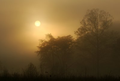 JPG CS Sunup DSC_5933.jpg