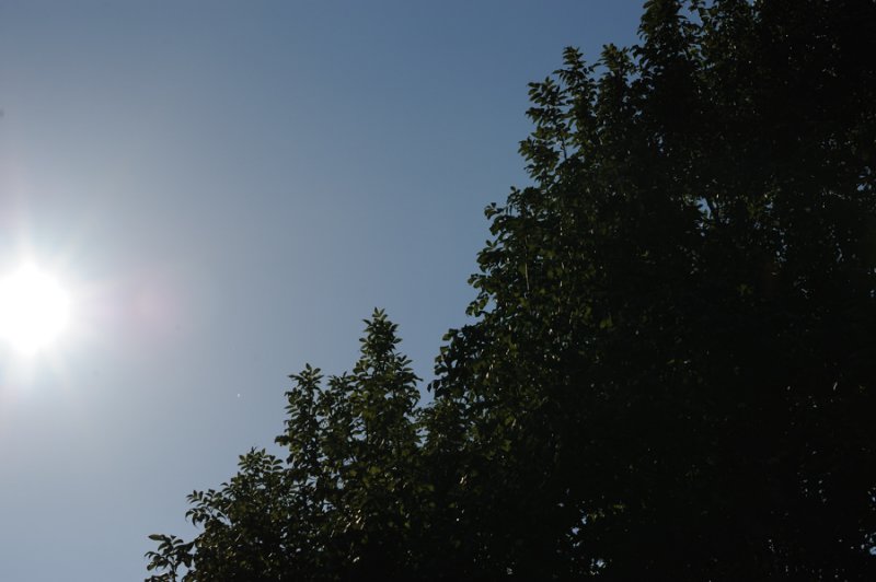 D3H_7866-900.jpg