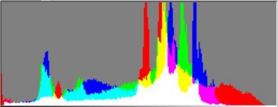 D90 Histogram.JPG