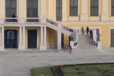 D3X_1177-crop.jpg