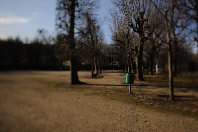 D3X_1284-900.jpg