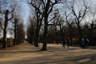 D3X_1291-900.jpg