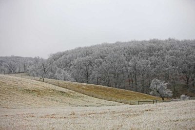 Icy-Landscape.jpg