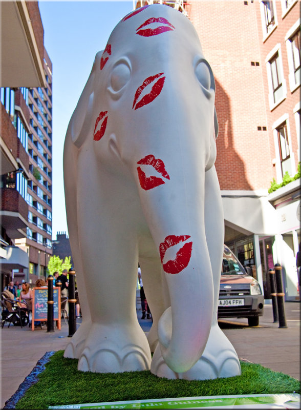P5223599f.jpg