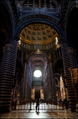 IMG_9959.jpg