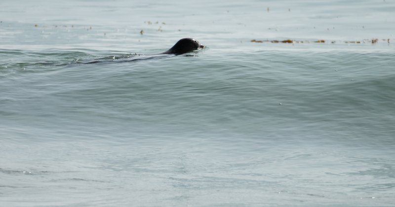 DSC_9856.jpg