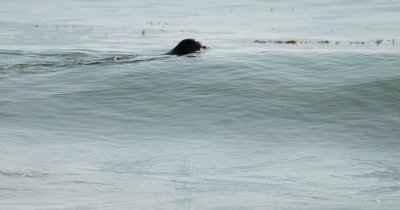 DSC_9856.jpg