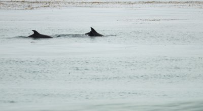 DSC_9872.jpg