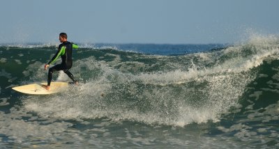 DSC_1460.jpg
